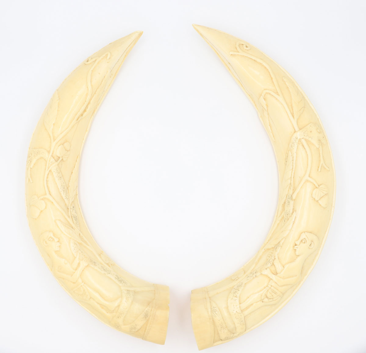 Pair of ivory tusks