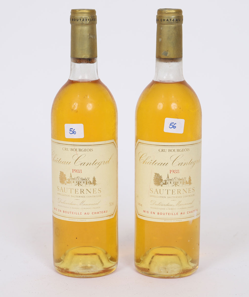 Château Cantegrit (x2)