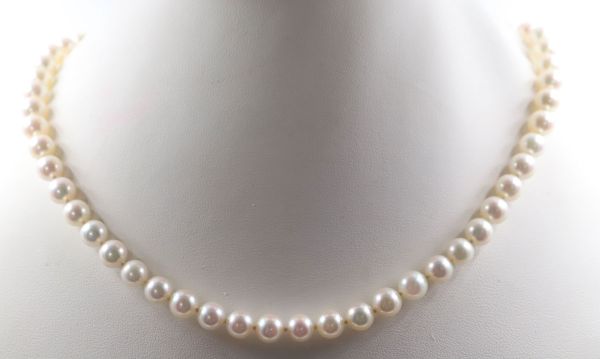 Pearl necklace 