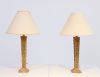 Pair of decorative lamps