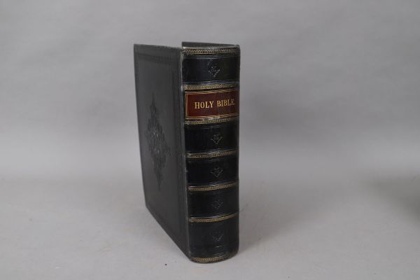 IMPERIAL ILLUSTRATED BIBLE. 