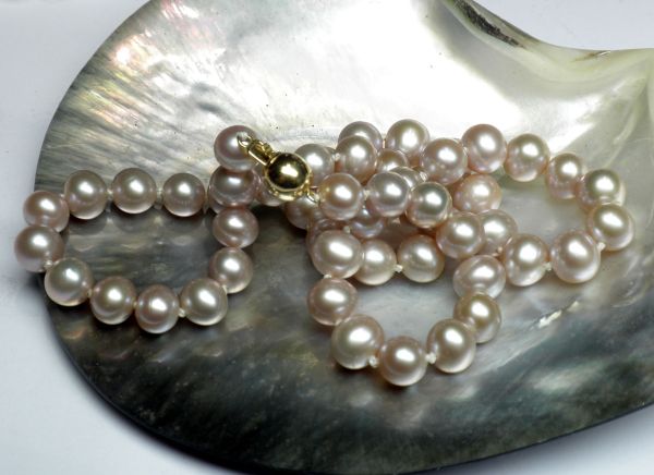 Very beautiful necklace in cultured pearls (D: 10 - 10,5 mm) very beautiful luster, safety clasp in gold - Gold 1,05 grs