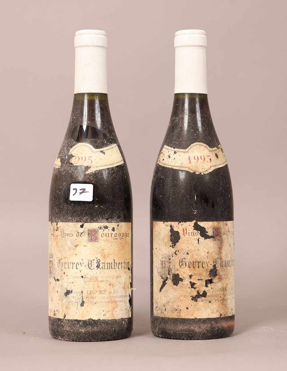 Gevrey Chambertin (x2)