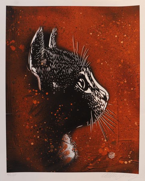 Christian Guémy dit C215 (born in 1973)