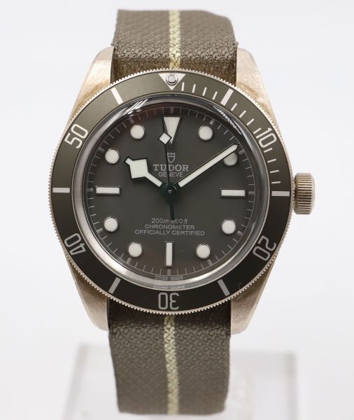 TUDOR Black Bay Ref 790010SG Vers 2022