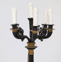 Pair of candelabras - Charles X