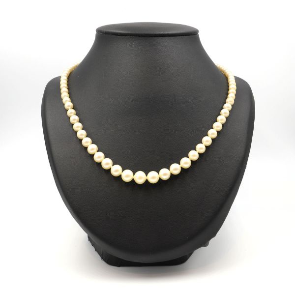 Pearl necklace