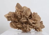 Large Sand Rose