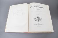 DICTIONNAIRE de BOTANIQUE de H. BAILLON