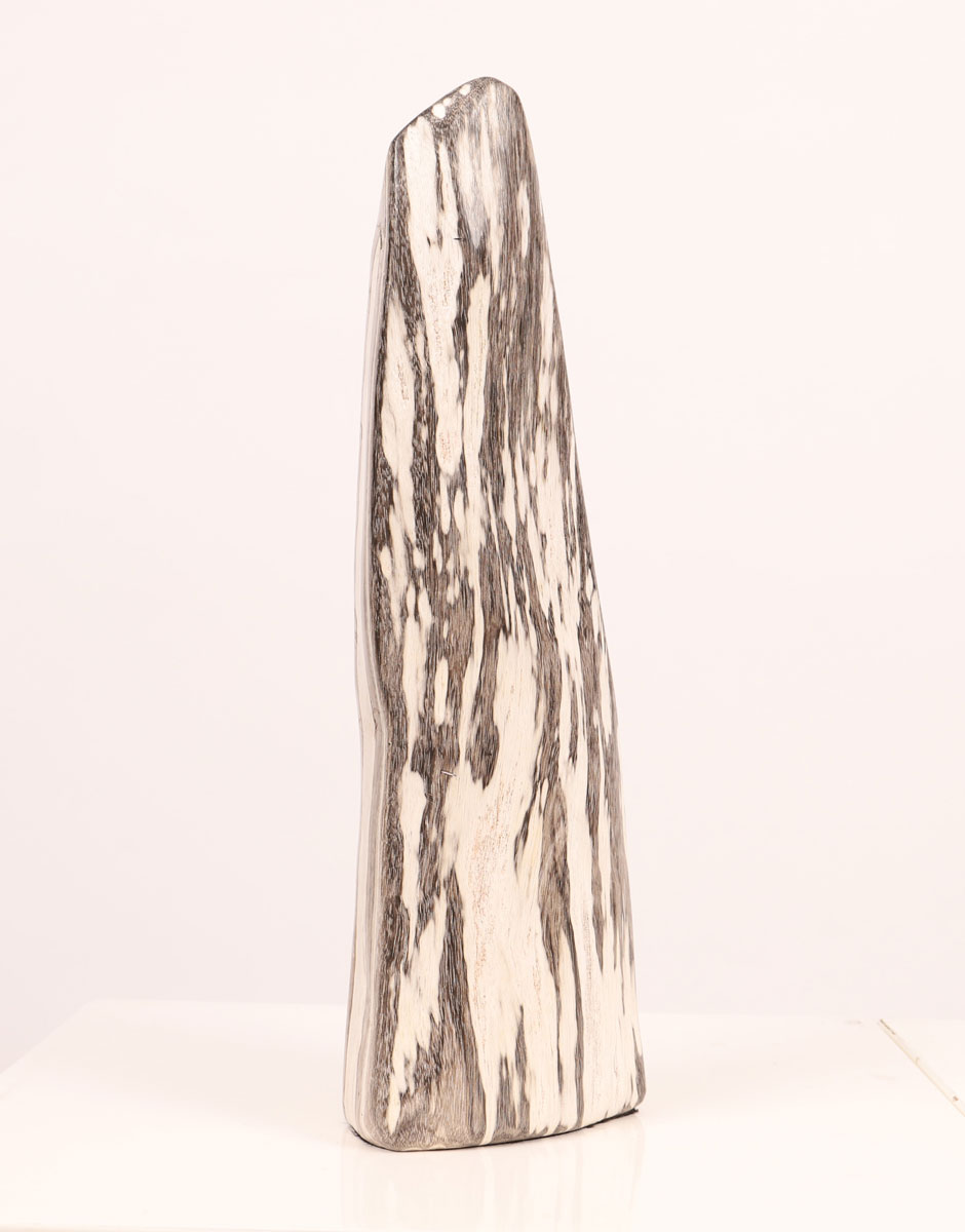 Petrified wood stele