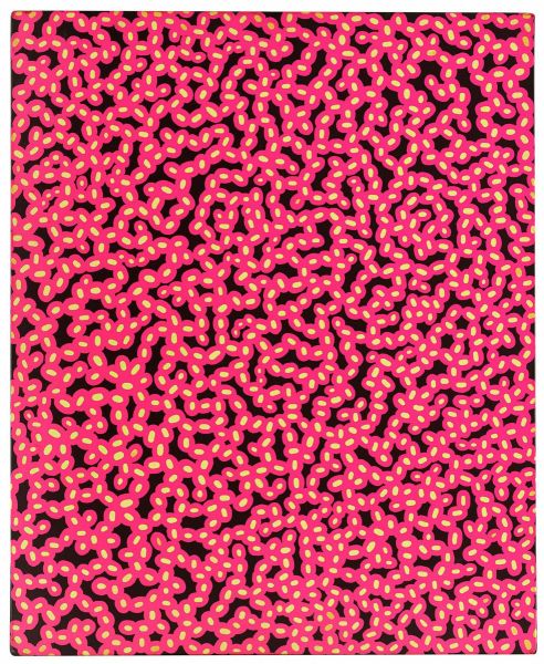 Infinity Nets Pink (1997), Print, d'après Yayoi Kuzama, Épreuve en couleur signée sur papier Arches dans la planche, et cachet de l’éditeur numéroté sur 150, encadré avec certificat de l’éditeur, Dimensions 28x38 cm