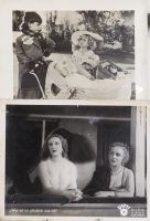 Lot of cinema photographs from the 30's to the 40's