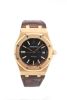 Audemars Piguet Royal Oak Ref 15300OR