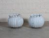 Pair of planter with lotus flower