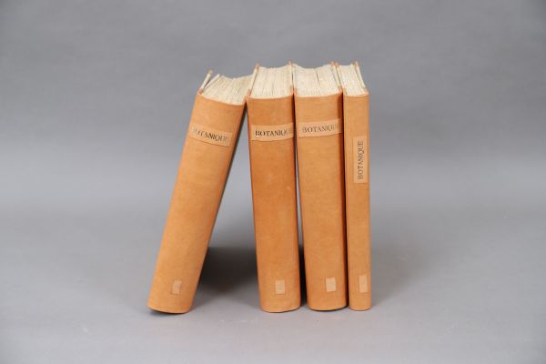 DICTIONARY of BOTANY by H. BAILLON