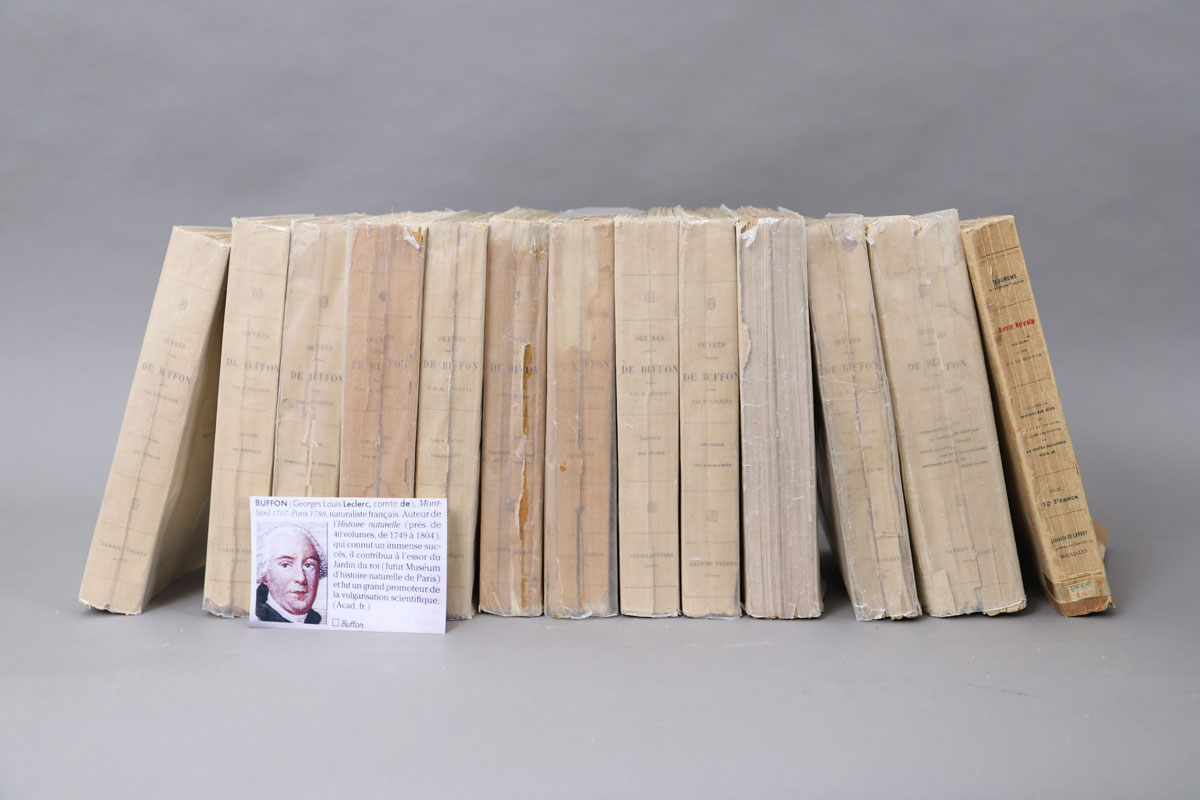 Lot of 13 bound volumes of BUFFON's WORKS.