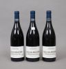 Clos de mouches (x3)