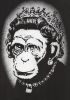 Monkey Queen, Print after Banksy, color proof, signed on Arches paper in the plate, publisher's stamp numbered on 150, framed with publisher's certificate, 28x38cm